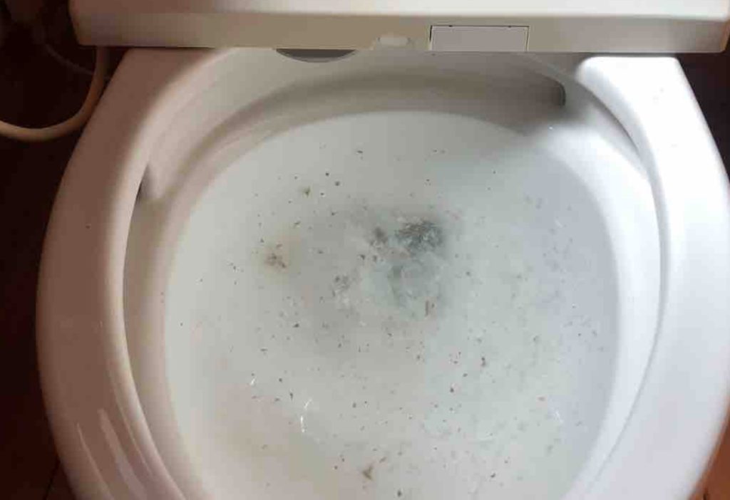 トイレの修理 原因不明のトイレつまり原因は 福岡市博多区の事例 福岡水道救急