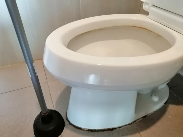 トイレの便器とラバーカップ