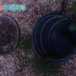 排水桝定期清掃｜高圧洗浄機で徹底洗浄！【福岡県飯塚市の事例】
