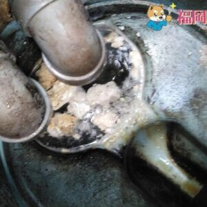キッチンつまり｜排水桝を高圧洗浄し解決！【福岡県田川市の事例】