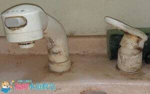 洗面蛇口水漏れ修理｜新しい水栓に交換し解決！【福岡市城南区の事例】