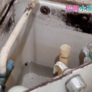 トイレ水漏れ修理｜劣化したボールタップを新しい物と交換して解決！【福岡県みやま市の事例】