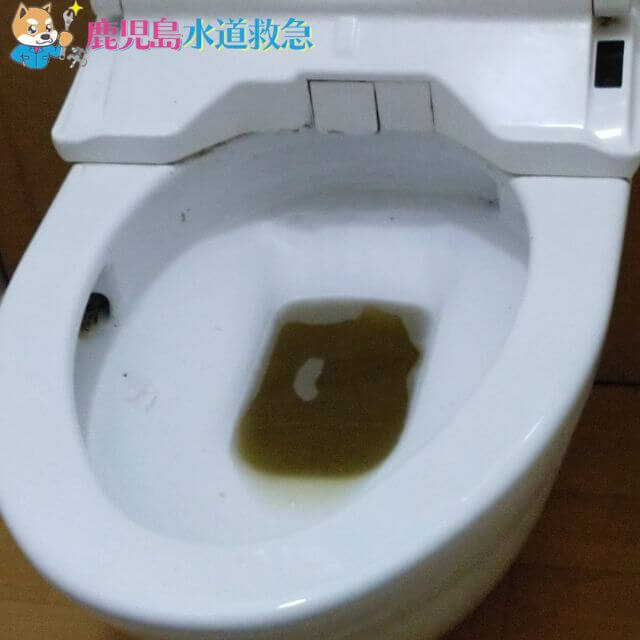 汚水が溜まったトイレ