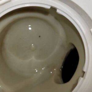 綺麗になったトラップ