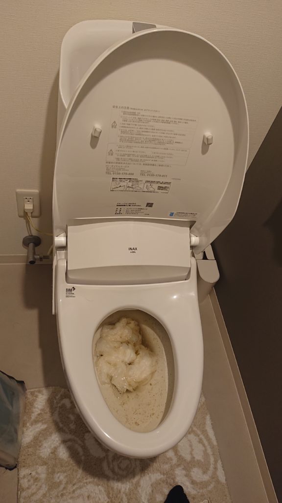 トイレのつまり｜お掃除シートが詰まった！【熊本市南区の事例】 熊本水道救急
