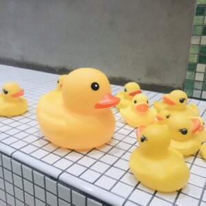 アヒルのおもちゃ