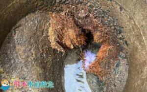 家全体の排水がつまった！｜木の根が侵入した排水桝を洗浄し解決【熊本県八代市の事例】