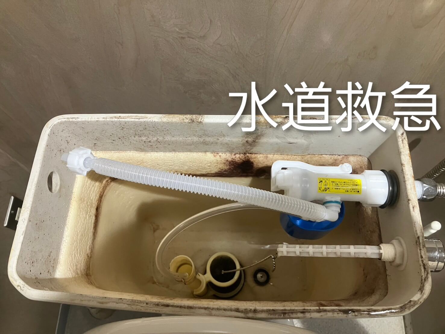 トイレ水漏れ修理依頼│パーツを交換して無事修理【熊本市中央区神水本町での事例】