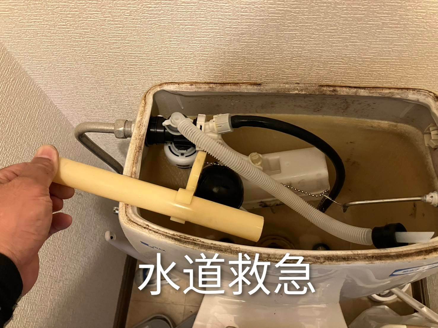 トイレの水漏れ原因は排水弁？部品交換でスッキリ解決！【熊本市西区京町本丁での事例】