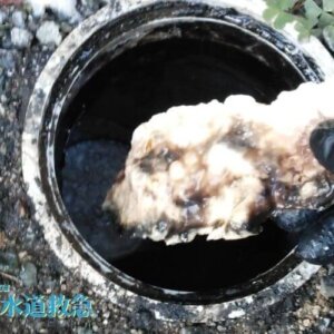 キッチンつまり修理｜排水桝を高圧洗浄し無事解決！【佐賀県伊万里市の事例】