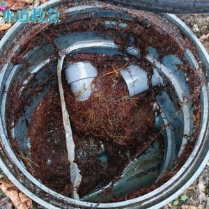 トイレつまり修理｜排水桝に侵入した木の根を除去し解決！【佐賀県神埼市の事例】